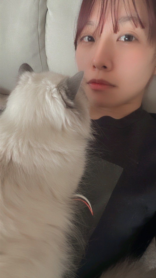 ぽんしゅかんおもろかった。