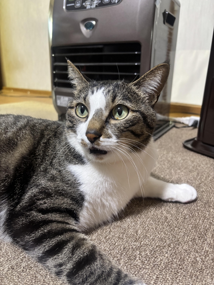 カラオケハイボールbar美人姉妹日記1608855