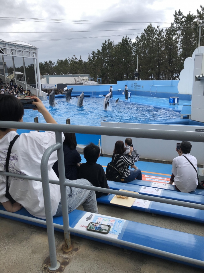 行きたいなぁ、、、