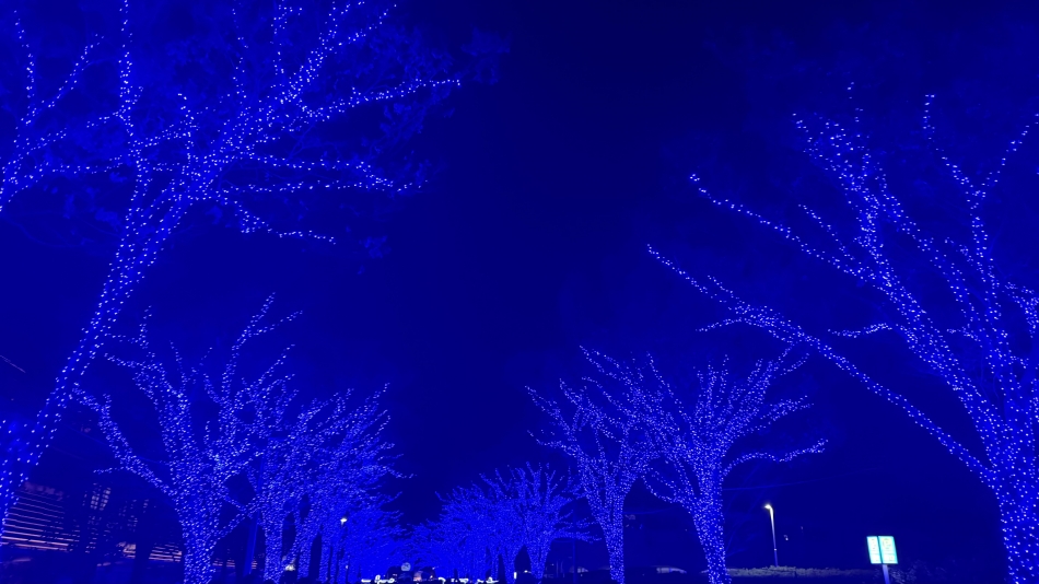 スナックしゃぼん玉日記1544608