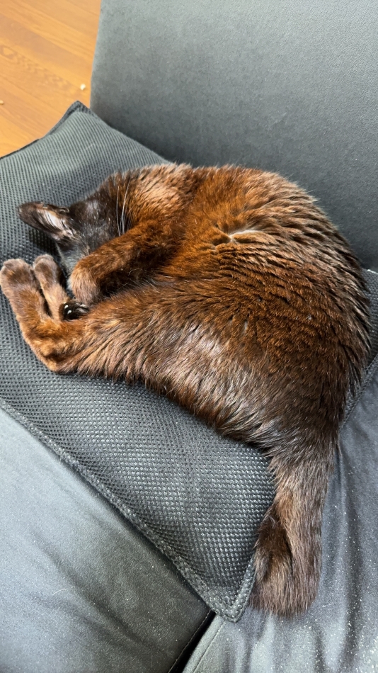 緊張すると酒進むよねわかるわかる