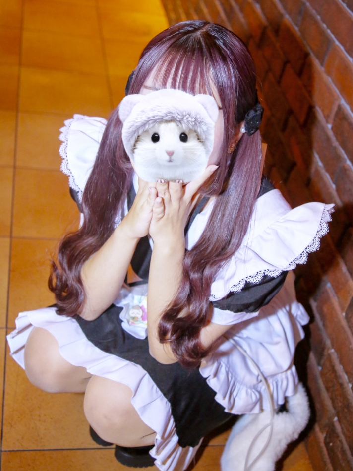 ツインテメイド時代.⋆𝜗𝜚