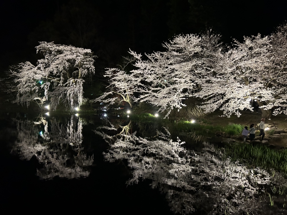 clubTiara日記1696054