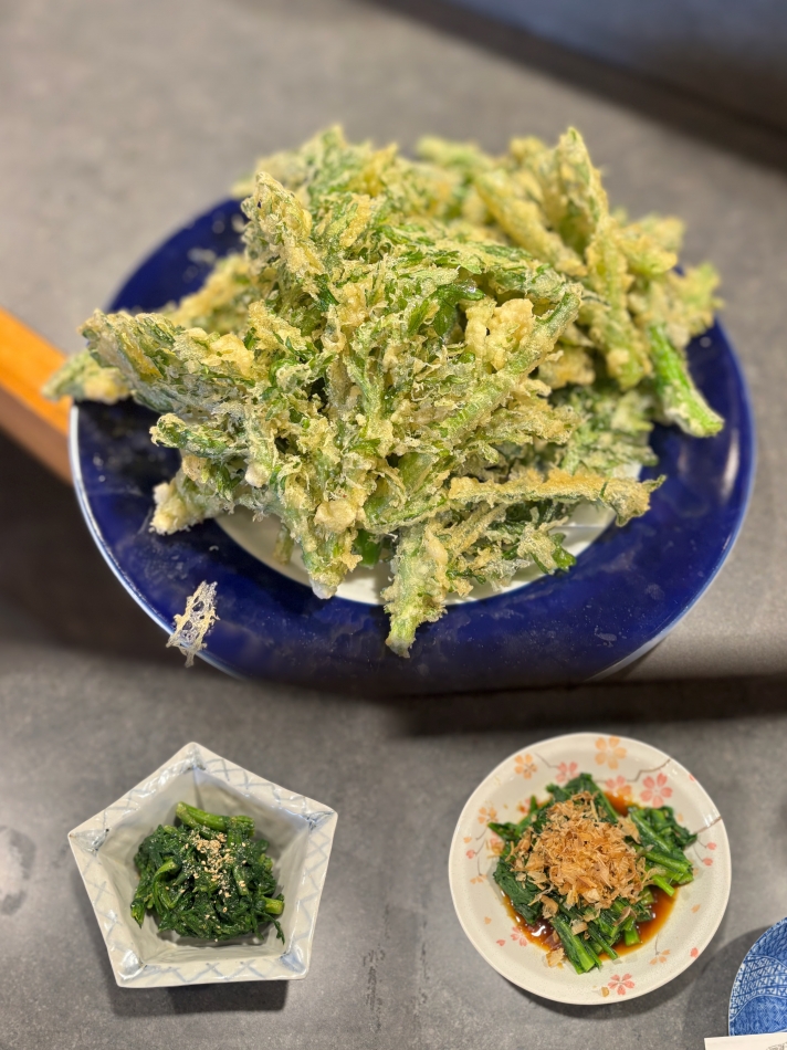 BRILLAR日記1556012