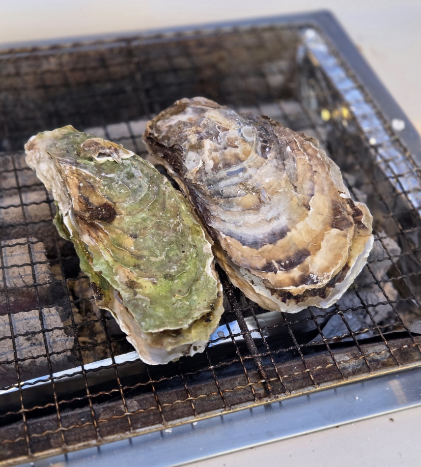 クラブ プラチナ 上田日記1556613