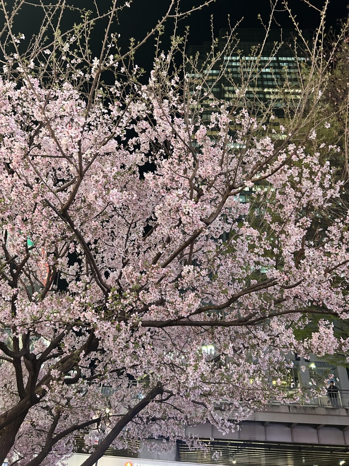 のあ