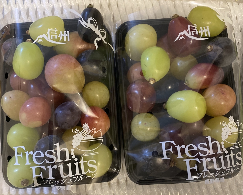 10月29日 12時00分のブログ