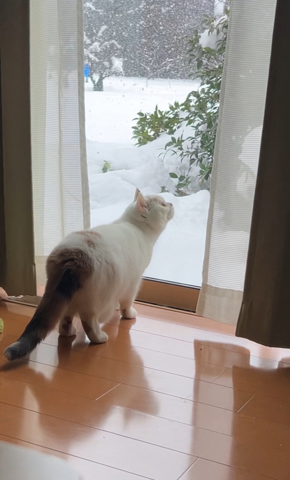 Diletto日記1561913