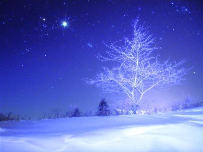 CLUB BOSS日記1563231