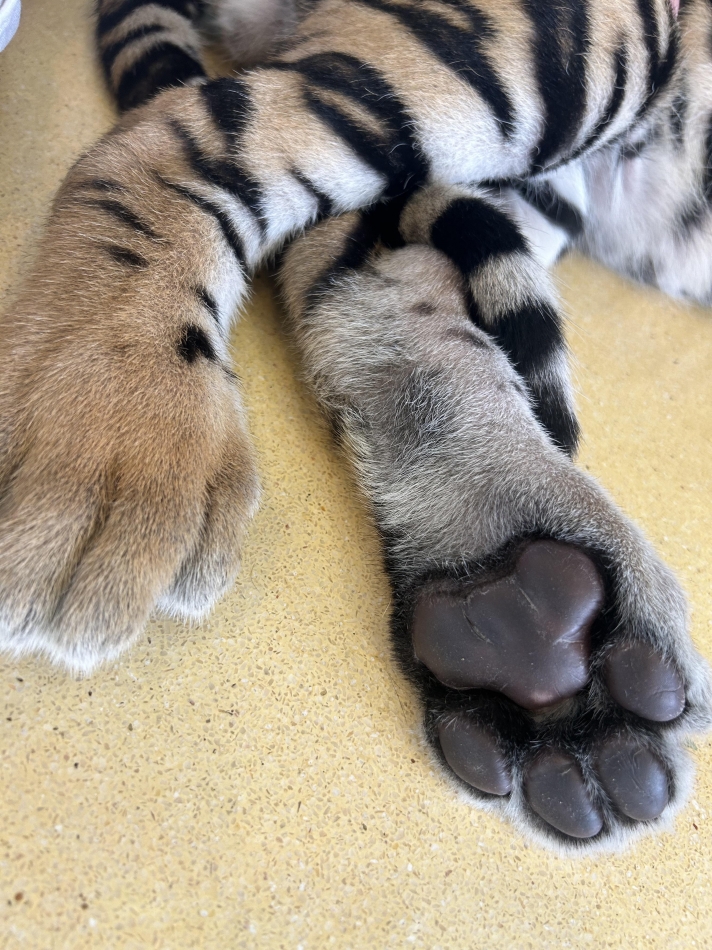 5月29日 19時15分のブログ