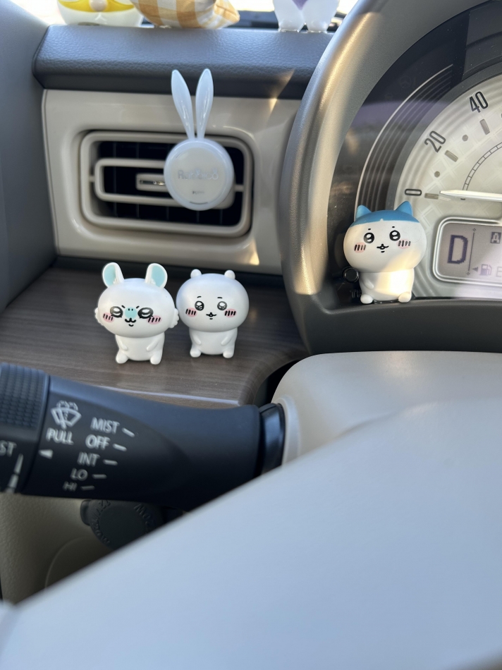 おかえりマイカー！