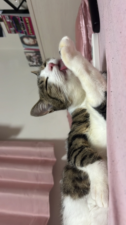 FORTUNE LOUNGE日記1638904