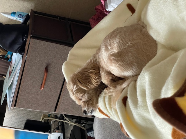 Club Lounge：日記1734720