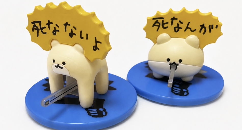一条 葵