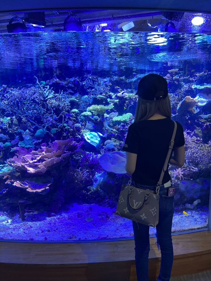 9月22日 21時44分のブログ