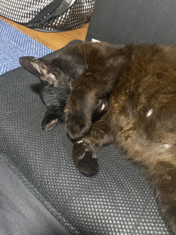 毎日ゲームしてたら生活時間狂った