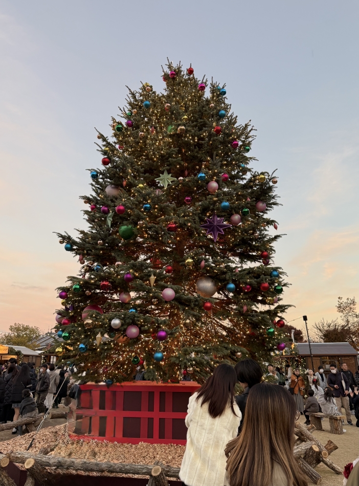 スナックBar Peace日記1557935