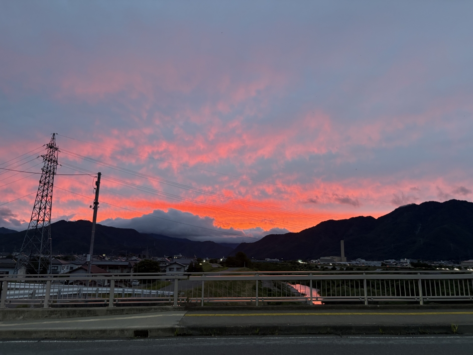 一条 葵