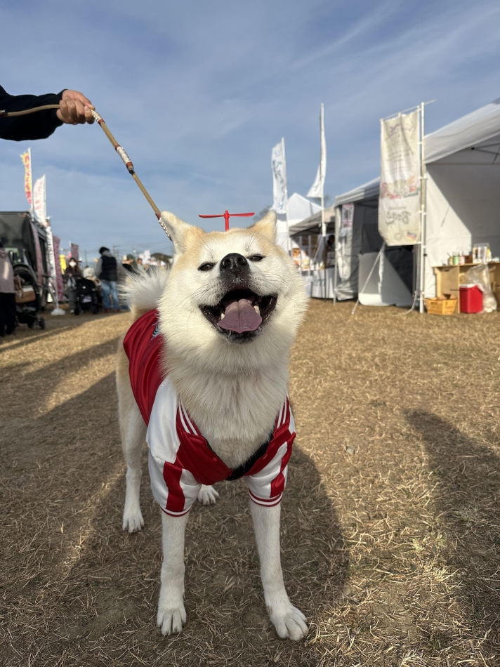 lounge Remika日記1538829