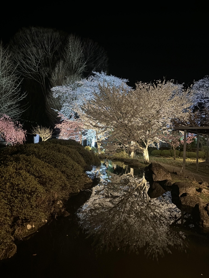 こんばんは¨̮⃝ 4/23