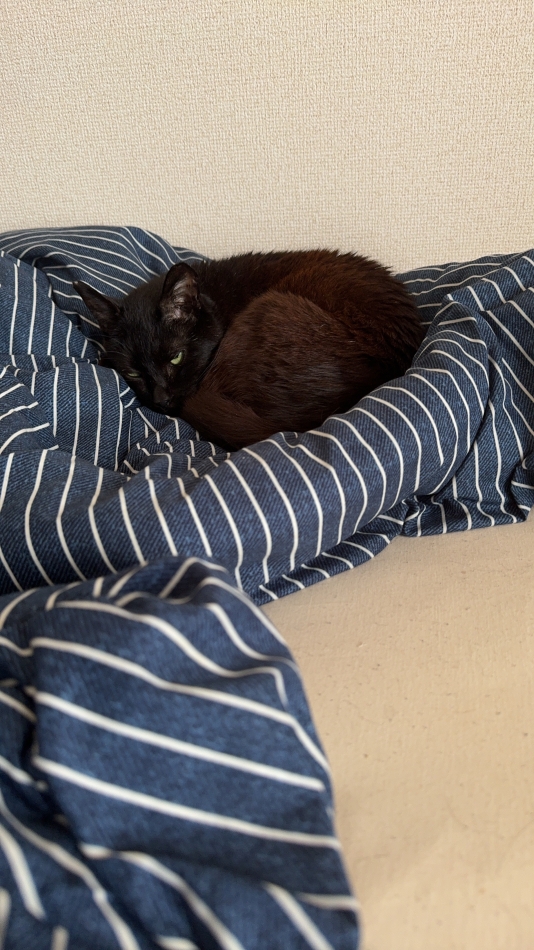 休みって最高だねの日😀