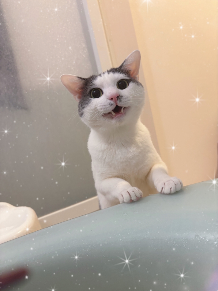 きゅるるん👀💖