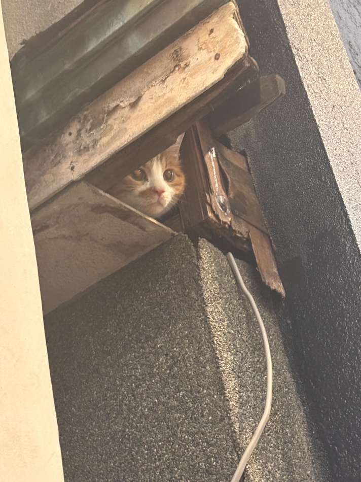 club Diana日記1586694