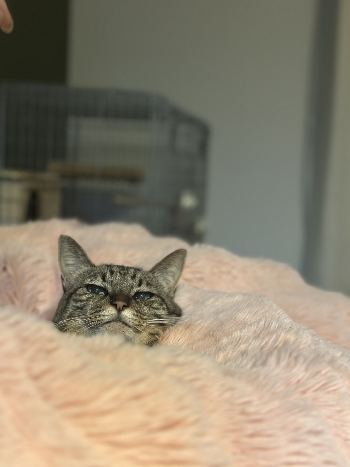 K-LOUNGE日記1513667