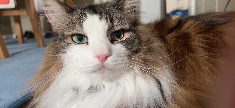 (ママ) 二ノ宮 さつき