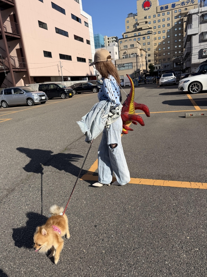 一条 葵