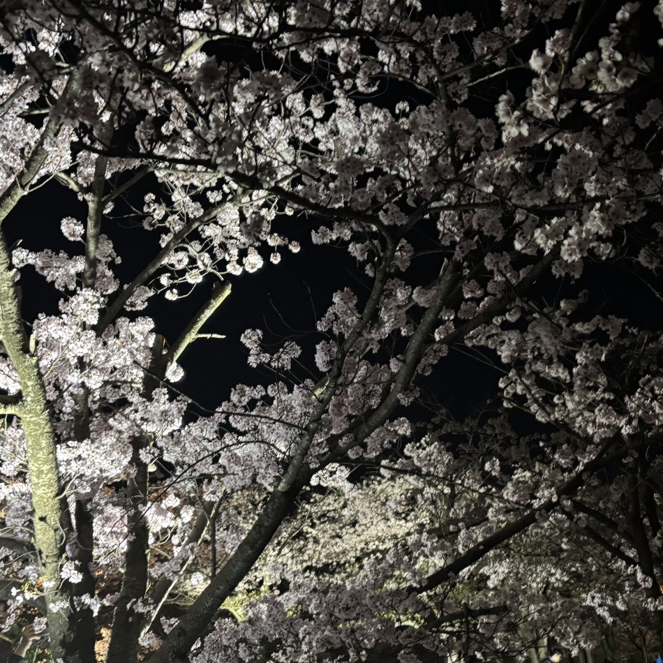 コンセプトカフェ あにまる宮殿日記1634012