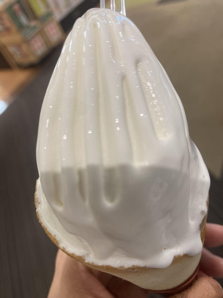 アイス🍨