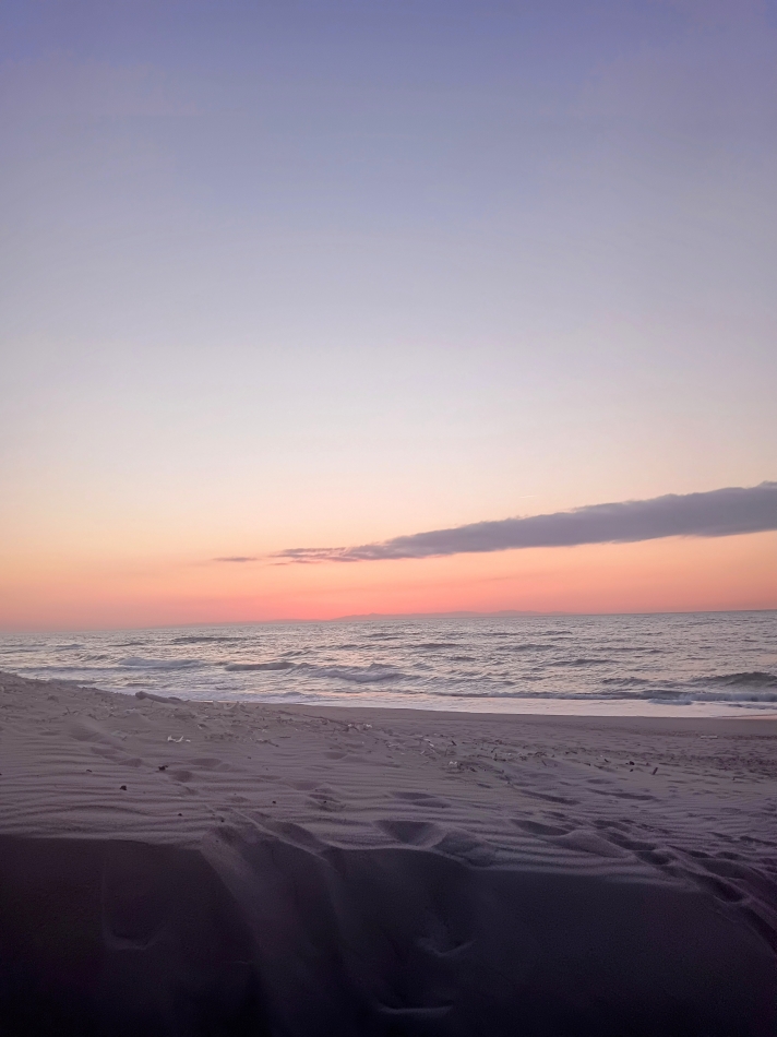 ディアナ1のベビたんへ