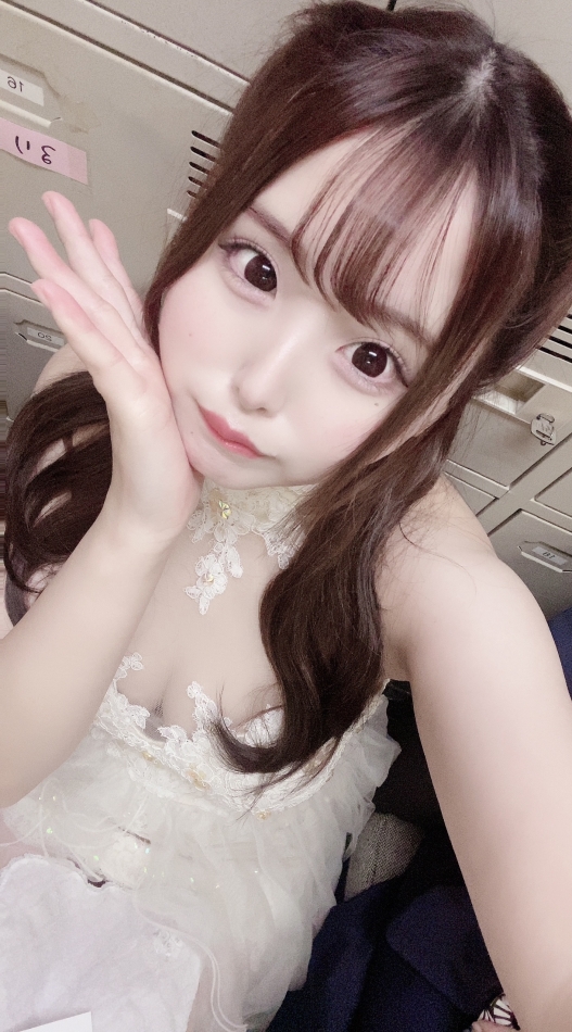 ラグドール出勤🐱