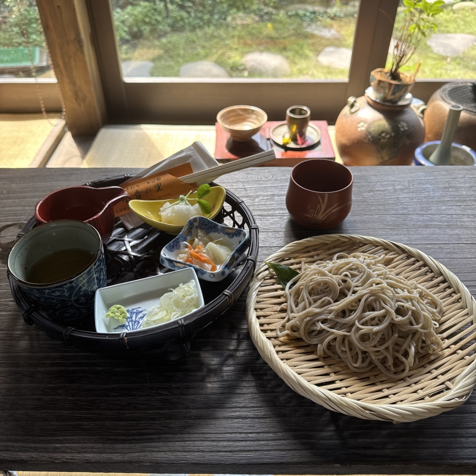 一条 葵