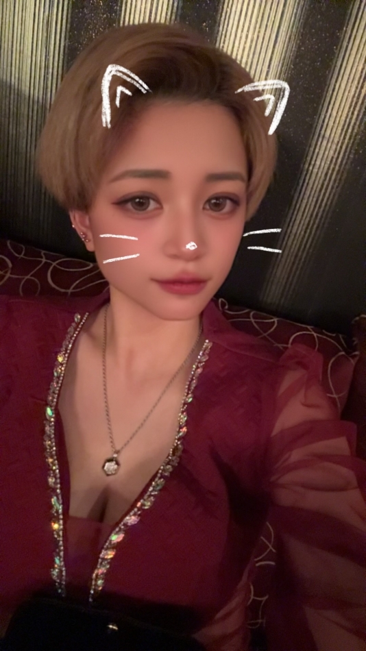 一条 葵