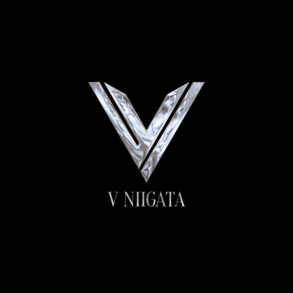 V-niigata-日記1755380