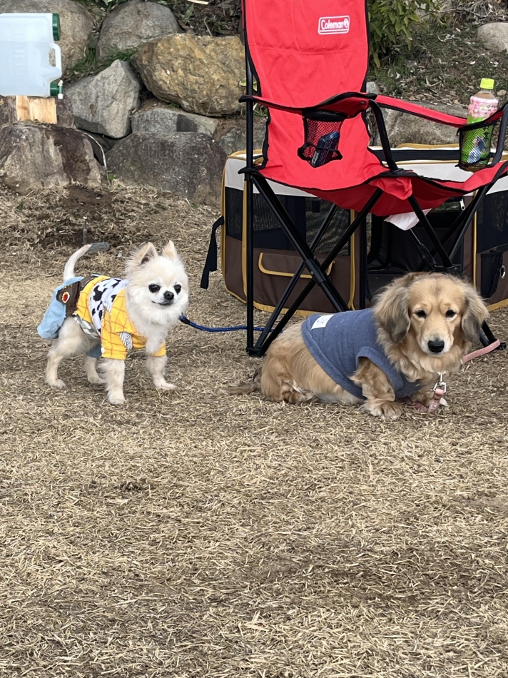 Club Lusso日記1058758