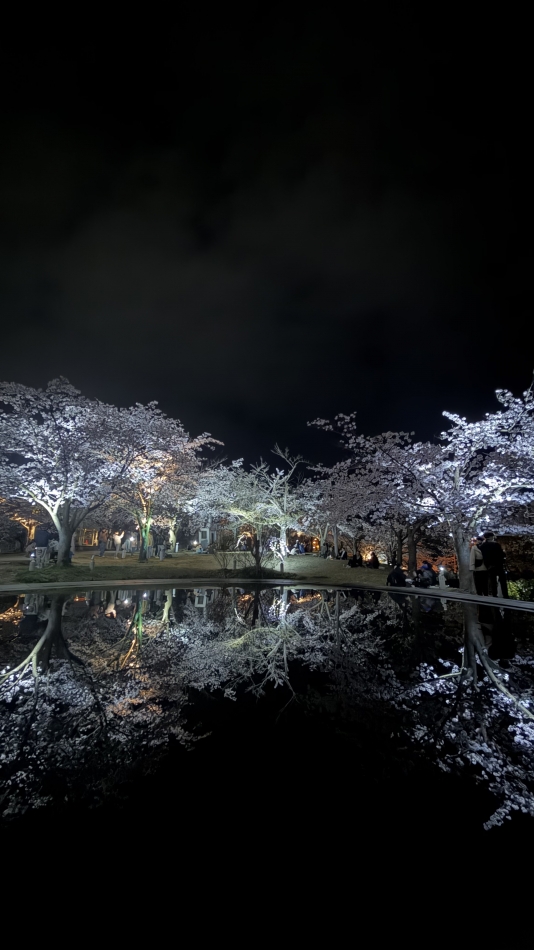 コンセプトカフェ あにまる宮殿日記1635648