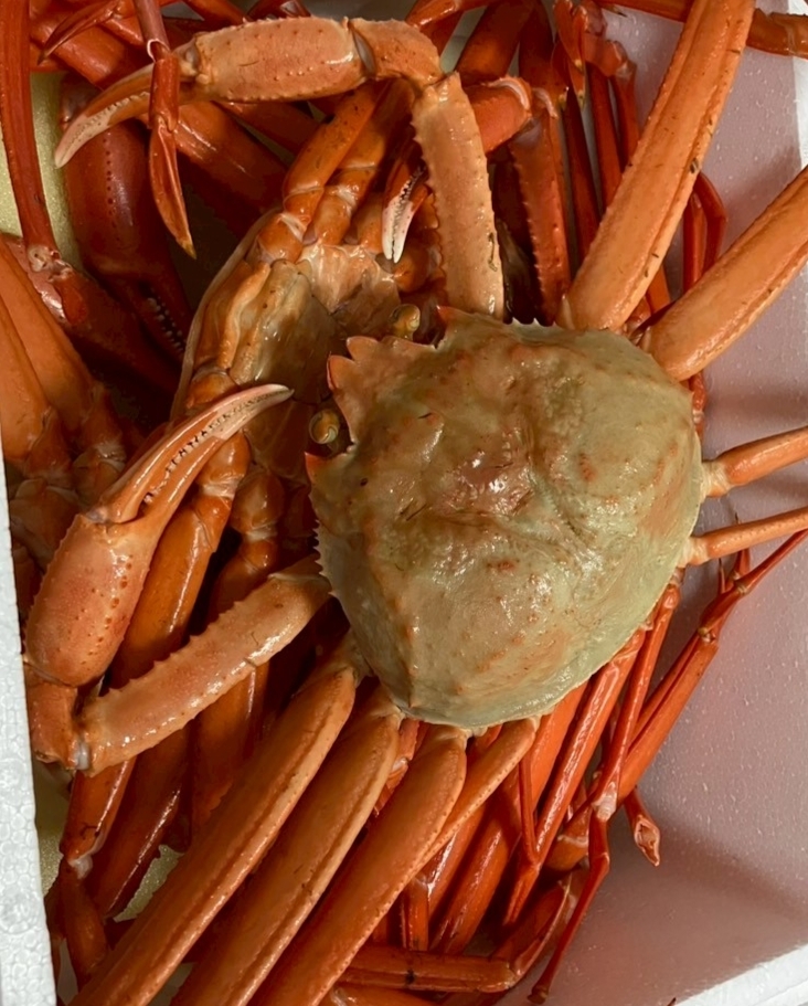 CLUB ASLI日記1445865