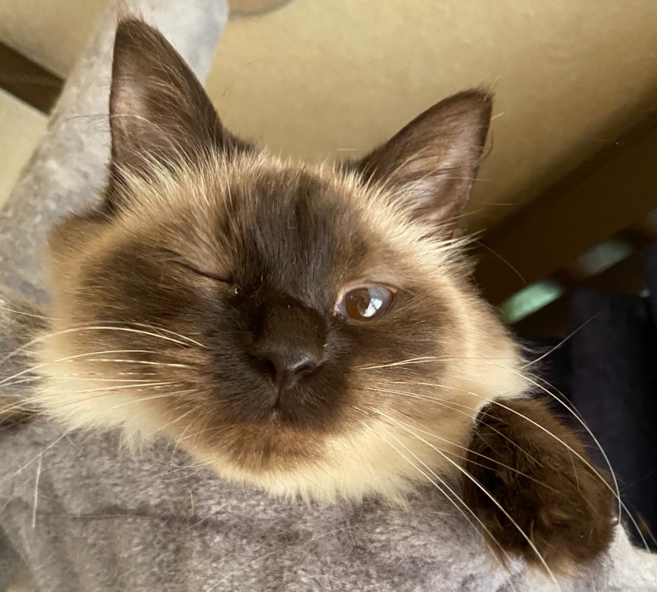 Club ILY日記1473773