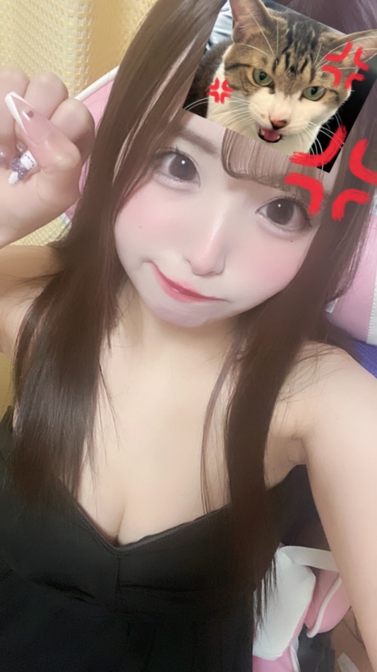 今日も出勤するよ～🐰🤍