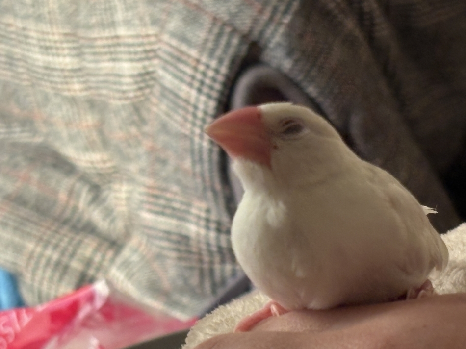 カラオケハイボールbar美人姉妹日記1556249