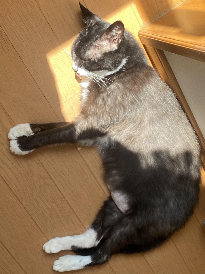 あったかそう～