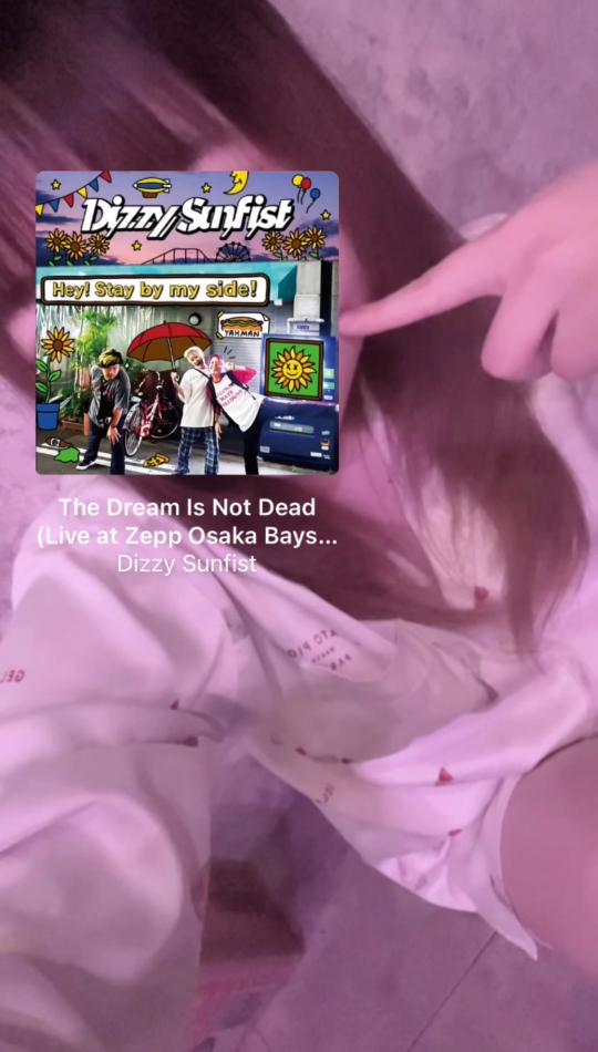 The Dream Is Not Dead /Dizzy Sunfist