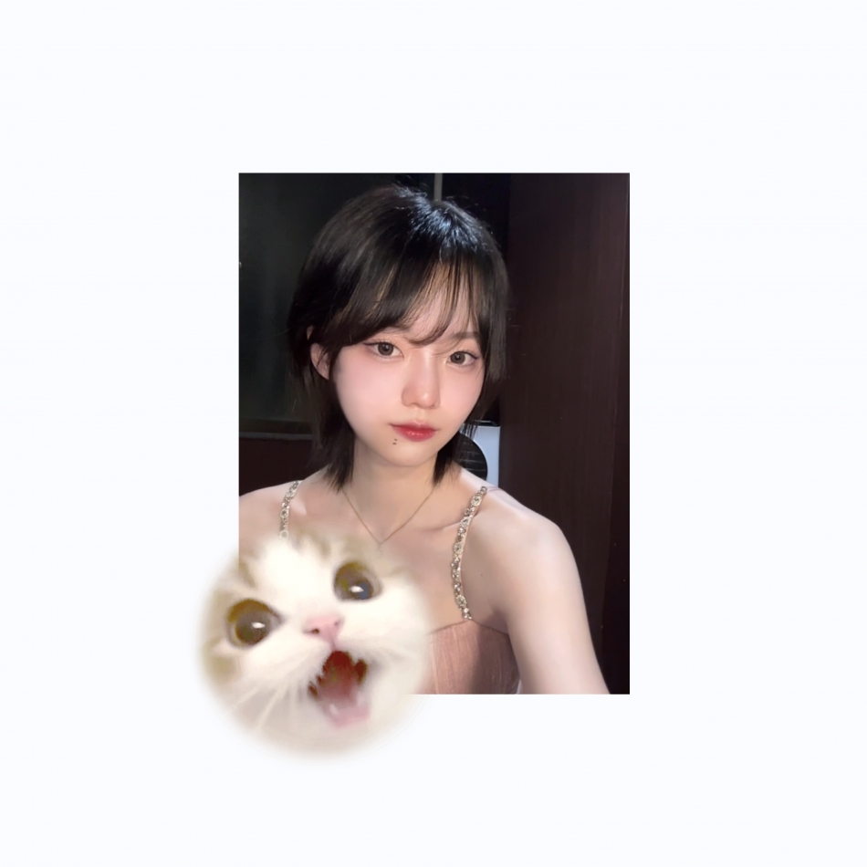 まき