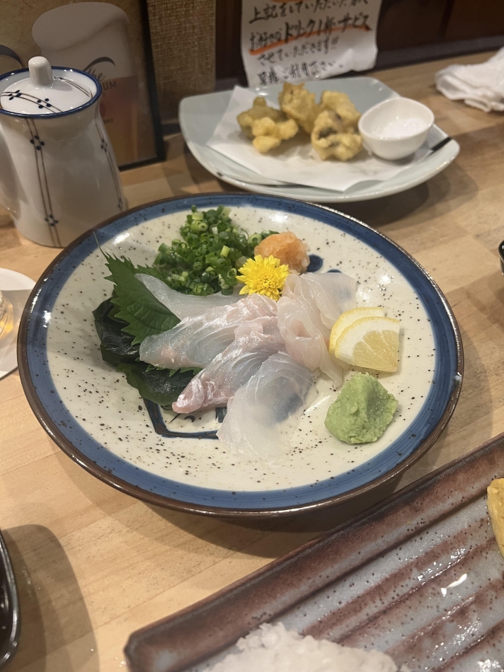 一条 葵