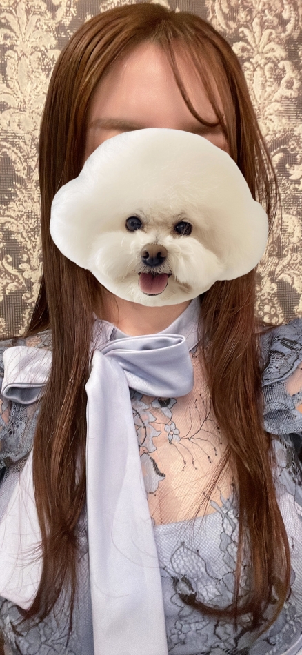 6月29日 12時18分のブログ