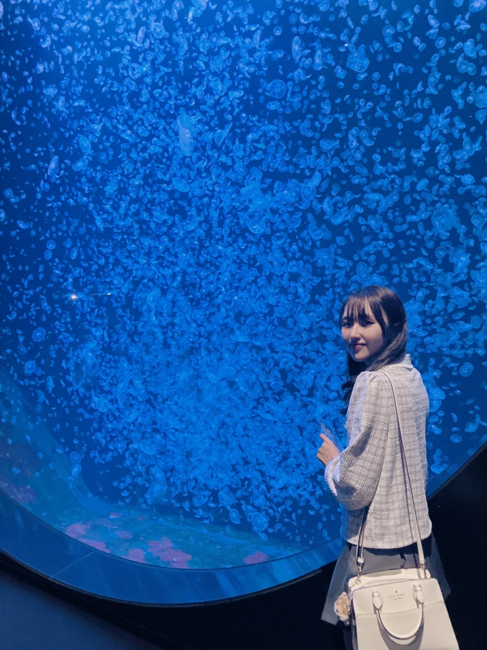 くらげ～～🪼🩵