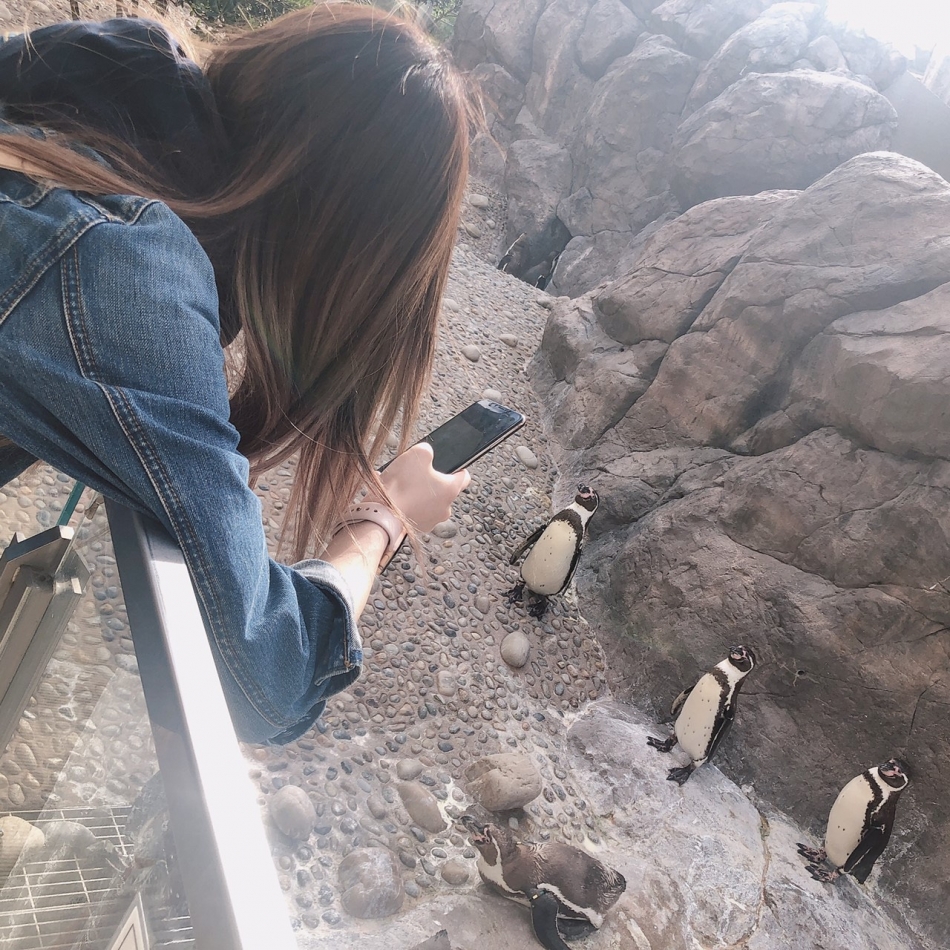 ぺんぺん🐧🐧🐧